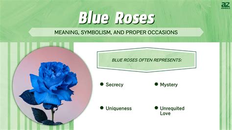 blue rose meaning in relationship.